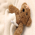 Stuffed Animals